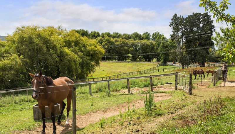 36 Frankton Road, Waihi