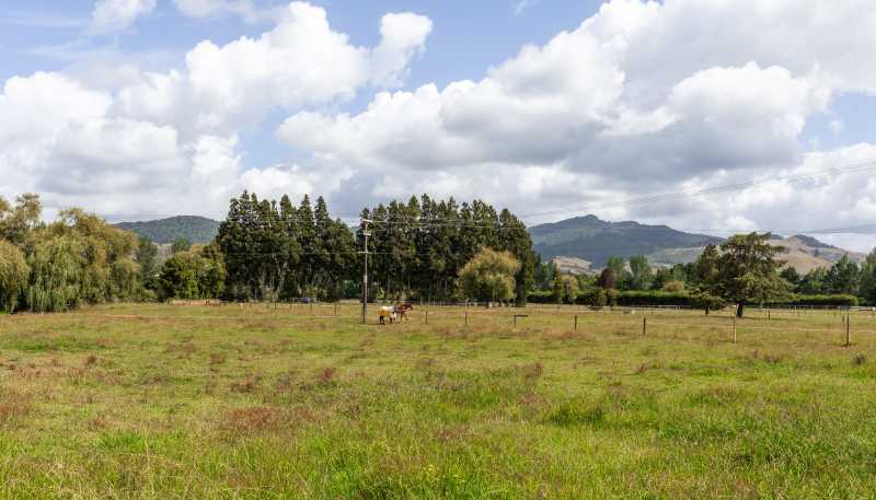 36 Frankton Road, Waihi