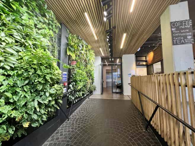 Premium Orewa office