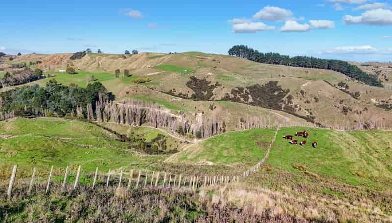  Kaukatea Valley Road, Okoia