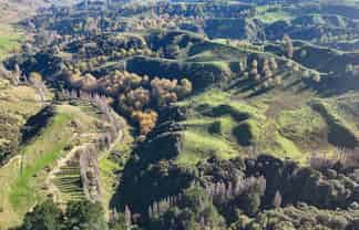  Kaukatea Valley Road, Okoia