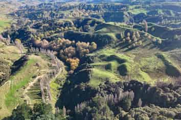 Kaukatea Valley Road, Okoia