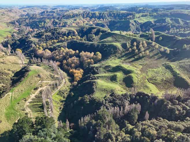  Kaukatea Valley Road, Okoia