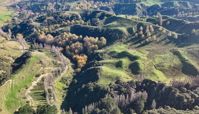  Kaukatea Valley Road, Okoia