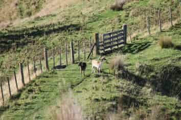  Kaukatea Valley Road, Okoia