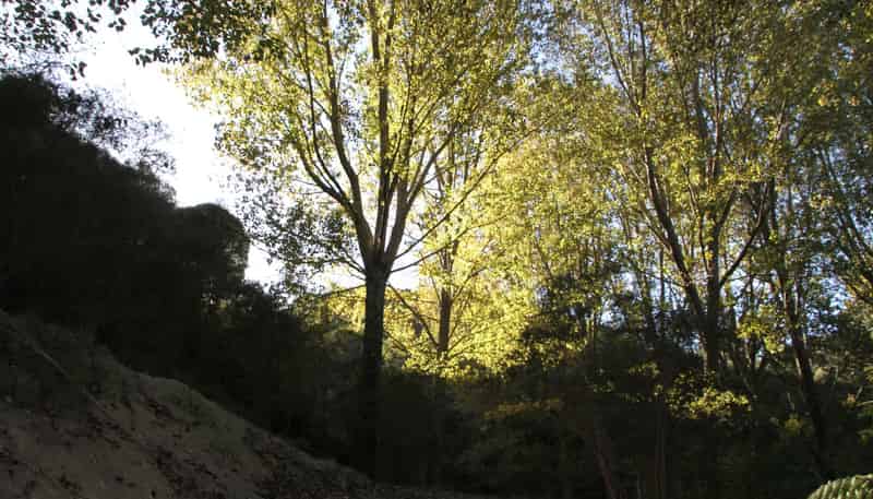 Kaukatea Valley Road, Okoia