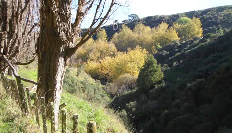  Kaukatea Valley Road, Okoia