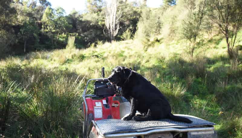  Kaukatea Valley Road, Okoia