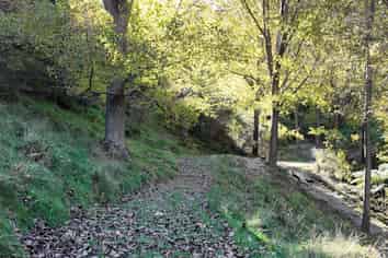  Kaukatea Valley Road, Okoia