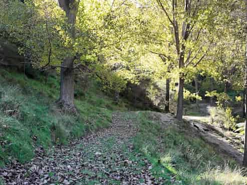 Kaukatea Valley Road, Okoia