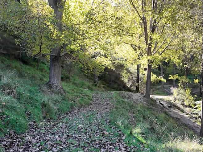  Kaukatea Valley Road, Okoia