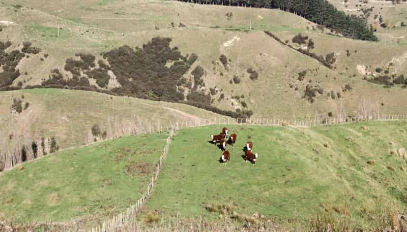  Kaukatea Valley Road, Okoia
