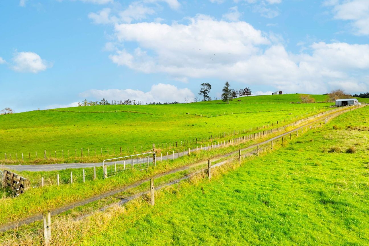 83.7 Acres In Popular North Auckland - Mehr