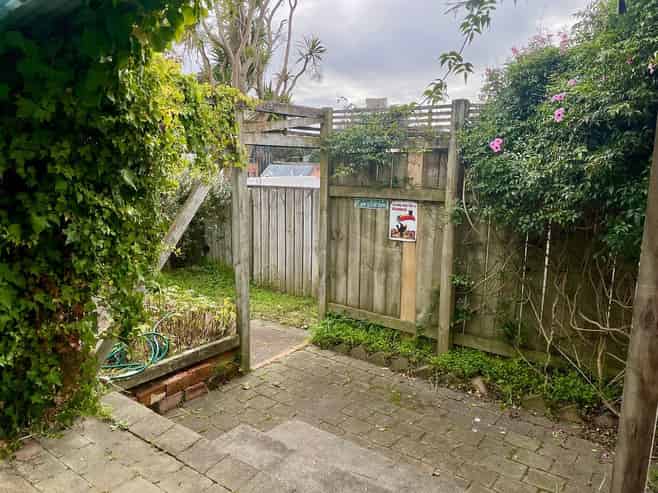 234 Adelaide Road, Newtown