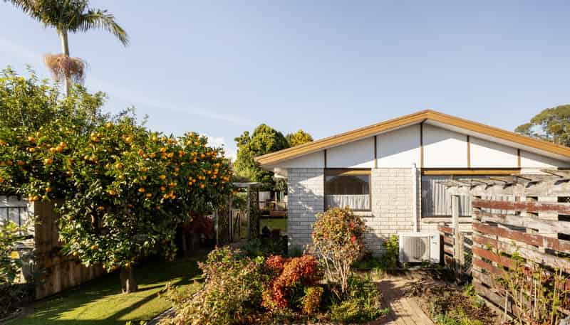 10A Tutauanui Crescent, Maungatapu