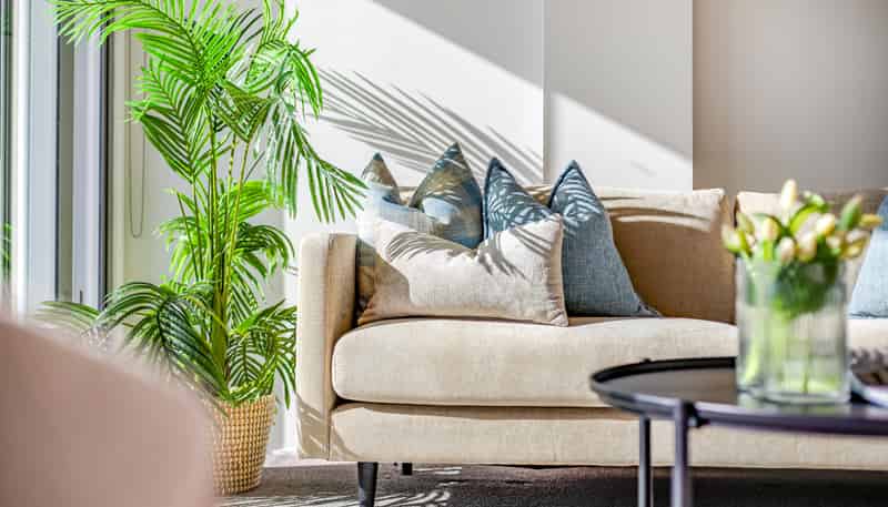 78/72 Tory Street, Te Aro