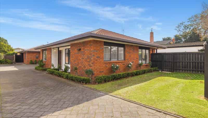 17A Selwyn Street, Tauranga