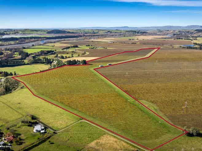  Colefield Vineyard, Aorangi Road, Maraekakaho
