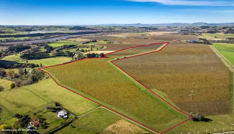  Colefield Vineyard, Aorangi Road, Maraekakaho