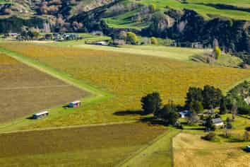  Colefield Vineyard, Aorangi Road, Maraekakaho