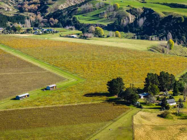  Colefield Vineyard, Aorangi Road, Maraekakaho