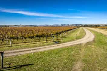  Colefield Vineyard, Aorangi Road, Maraekakaho