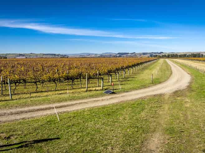  Colefield Vineyard, Aorangi Road, Maraekakaho
