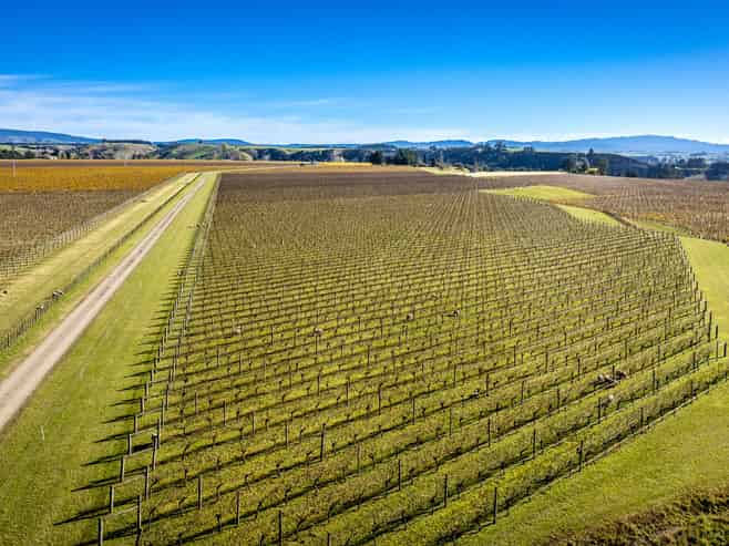  Colefield Vineyard, Aorangi Road, Maraekakaho