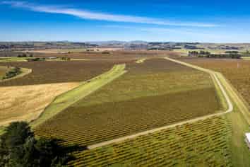  Colefield Vineyard, Aorangi Road, Maraekakaho