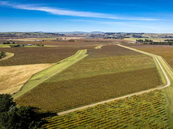  Colefield Vineyard, Aorangi Road, Maraekakaho