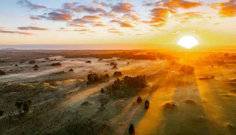  Tararua Drive, HAMURANA