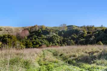 1652  Waikaretu Valley Road, Port Waikato