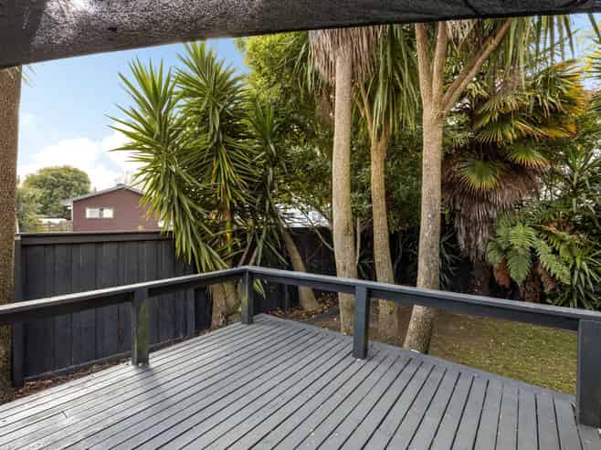 17 Kentucky Crescent, Nawton