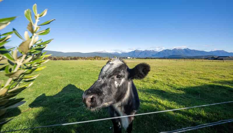 73 Holmwood Road, Manapouri
