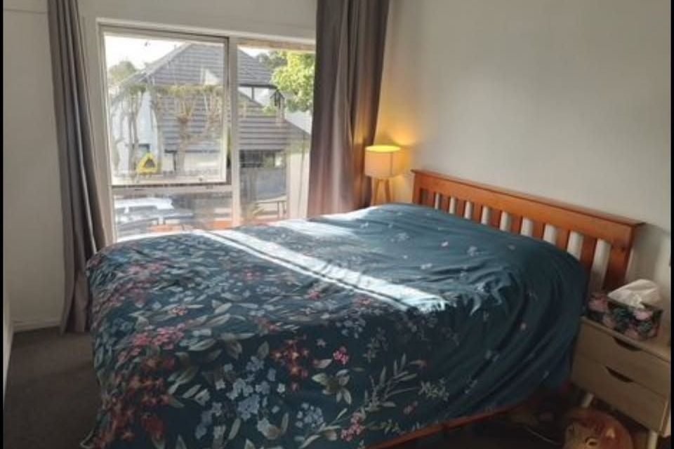 Mt Eden Home & Office Opportunity –EGGS Zone - Vista 4
