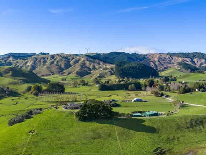 143 Pond Road, Raglan