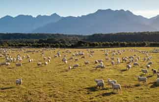 1223 Manapouri Te Anau Highway, Manapouri