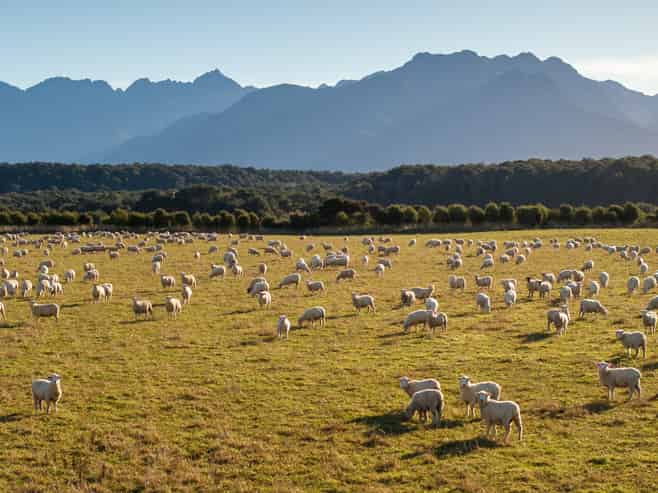 1223 Manapouri Te Anau Highway, Manapouri