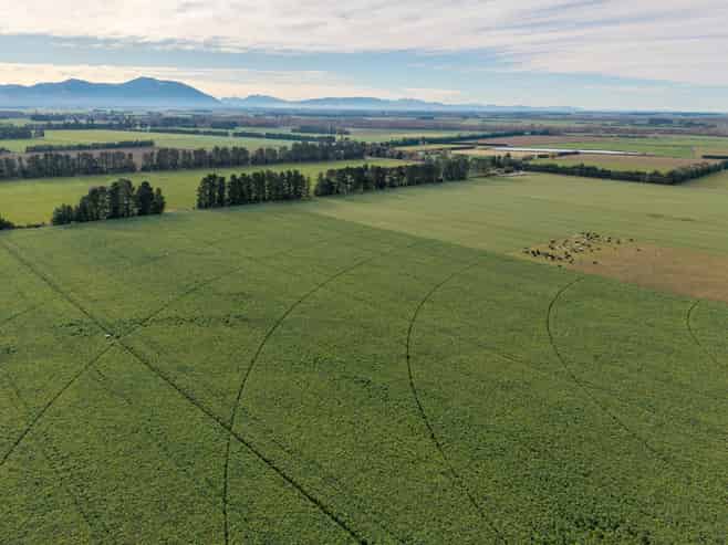 728 Valetta Westerfield Road, Ashburton