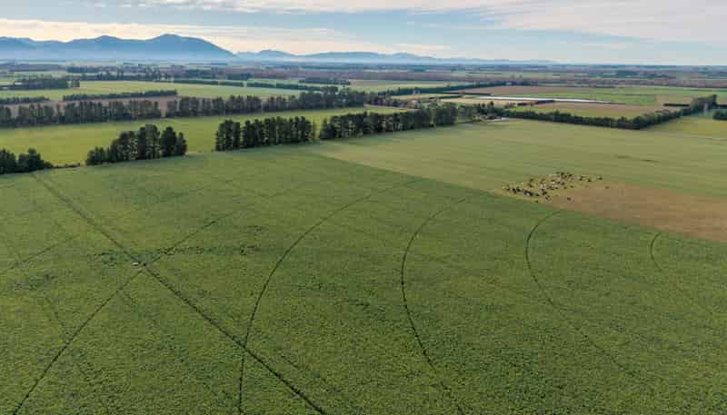 728 Valetta Westerfield Road, Ashburton