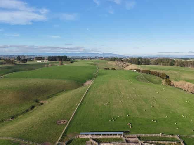  Mount Stewart Halcombe Road, Sanson