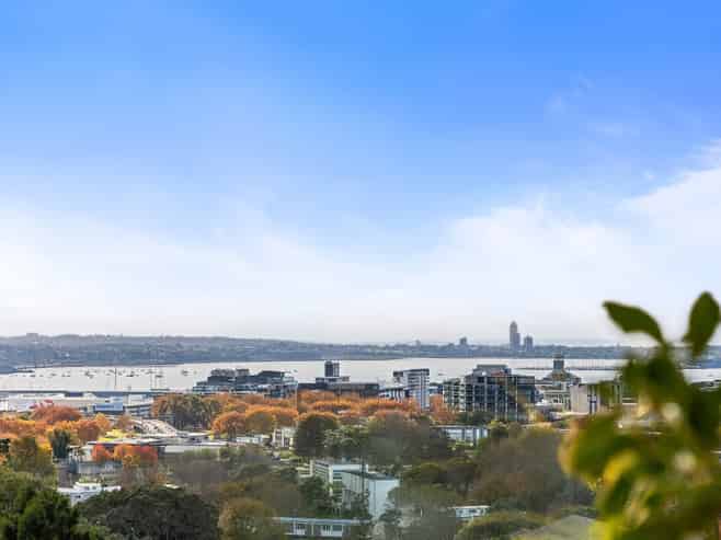 2A/15 Hopetoun Street, Freemans Bay