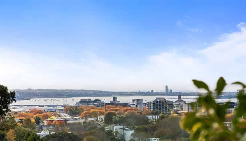 2A/15 Hopetoun Street, Freemans Bay