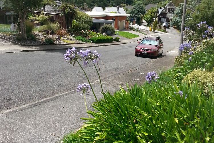 Charming Sunny Flat in Karori – Ideal Location! - Vista 2