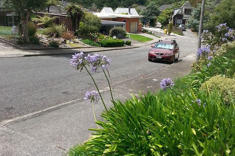 Charming Sunny Flat in Karori – Ideal Location! - Widok 2