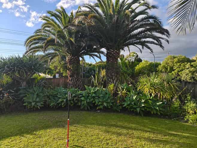 1 Marbella Drive, Massey