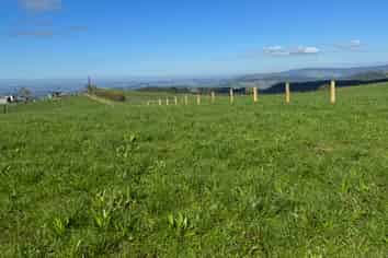 Lot 1 Pekanui Road, Te Awamutu