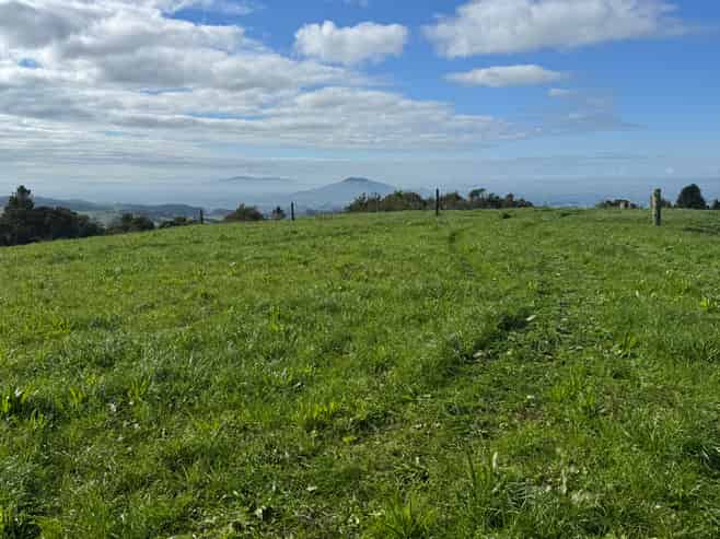 Lot 1 Pekanui Road, Te Awamutu
