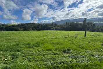 Lot 1 Pekanui Road, Te Awamutu