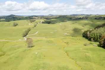 Lot 5 Wharehine Road, Wellsford